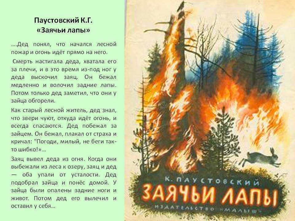 Заячьи лапы