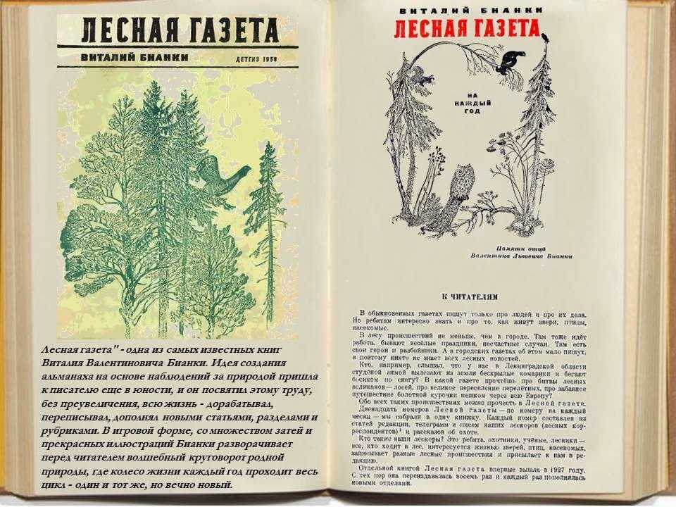 «лесная газета» - книга виталия бианки для читательского дневника