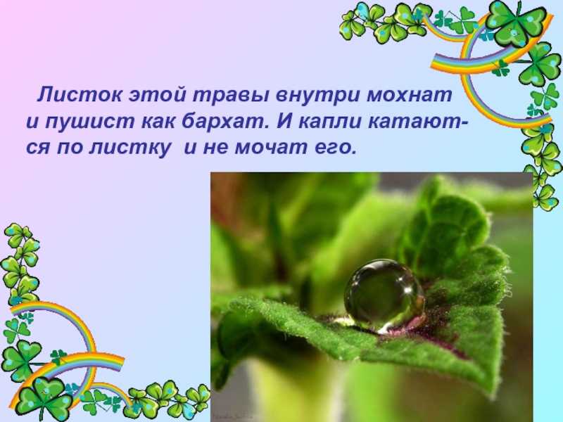 Гдз учебник по литературному чтению 3 класс климанова, горецкий школа россии фгос новый