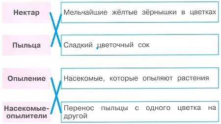 Конспект урока по окружающему миру, 3 класс. размножение и развитие растений. школа россии