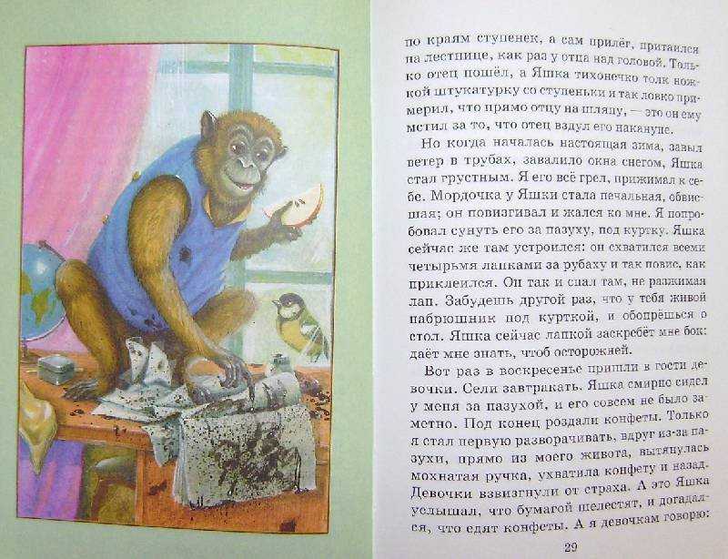 Рассказ «про обезьянку» стр. 96 - 97. литературное чтение 3 класс