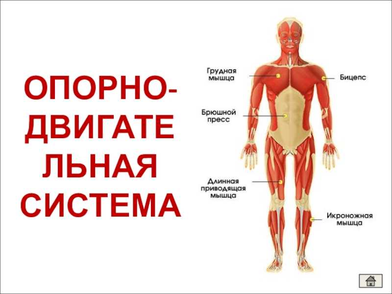 Гдз и решебник окружающий мир 3 класс плешаков, крючкова - учебник