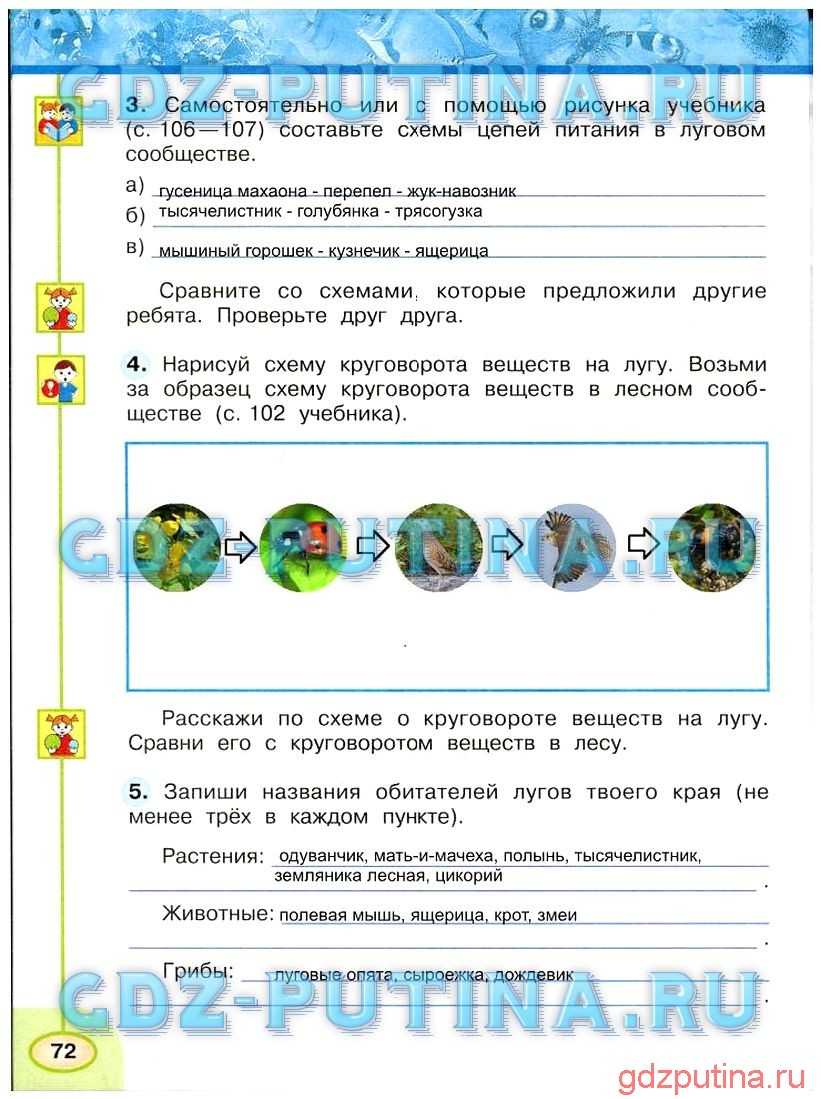 Гдз и решебник окружающий мир 3 класс плешаков, новицкая - рабочая тетрадь