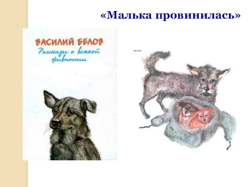 Как ты себе представляешь мальку запиши в рабочую тетрадь 3 класс кратко