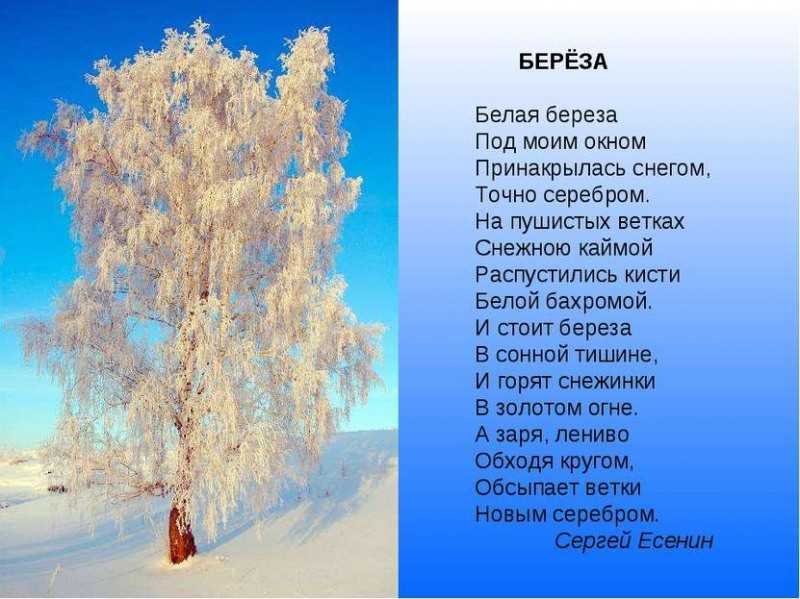 Гдз по русскому языку 3 класс — рабочая тетрадь — 1 часть — климанова