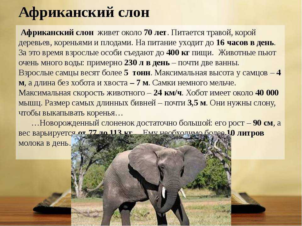 Понемногу: ответы на вопросы учебника к воспоминаниям л. толстого "детство" для 3 класса