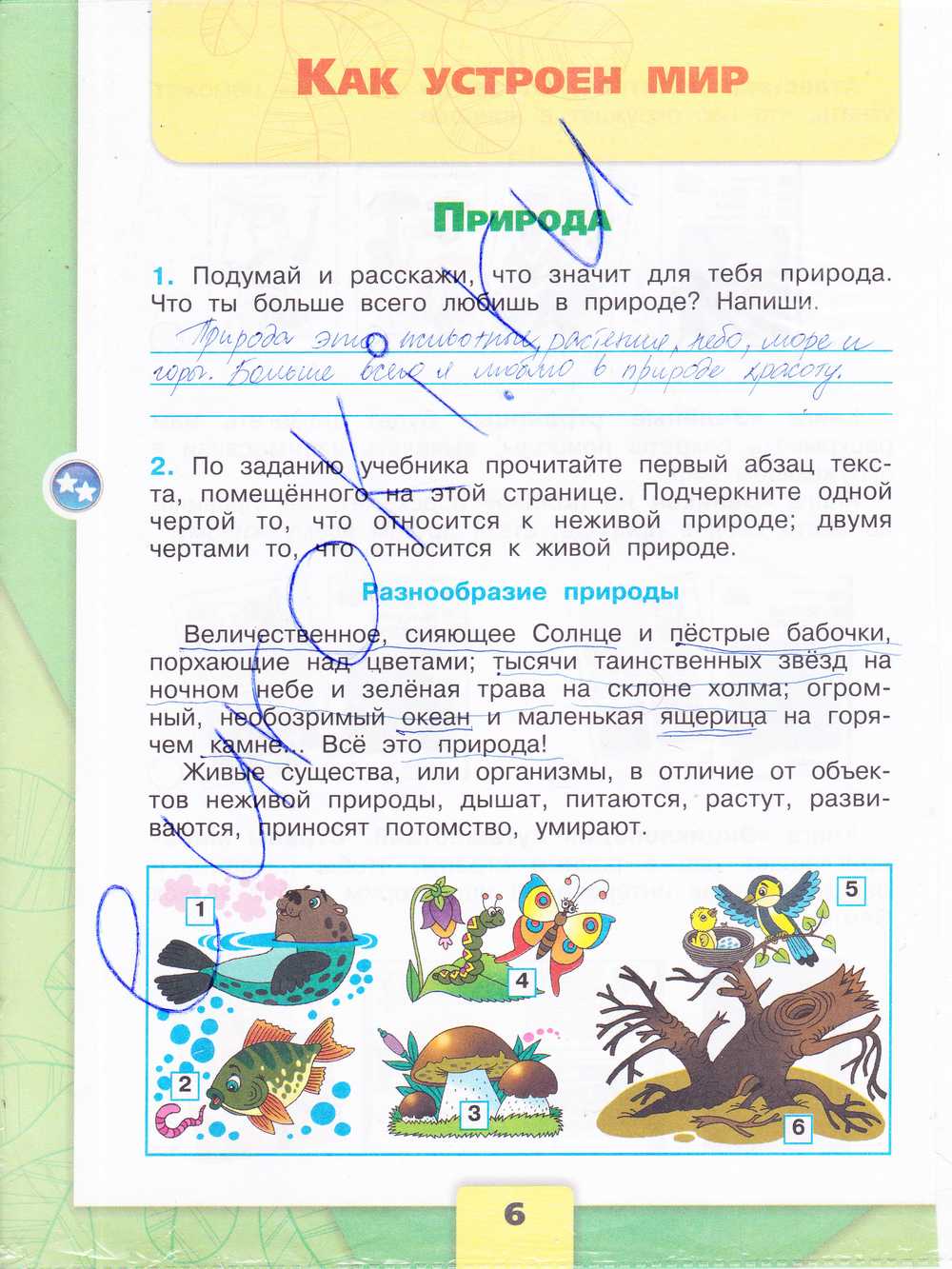 Гдз по окружающему миру 3 класс рабочая тетрадь  плешаков  школа россии