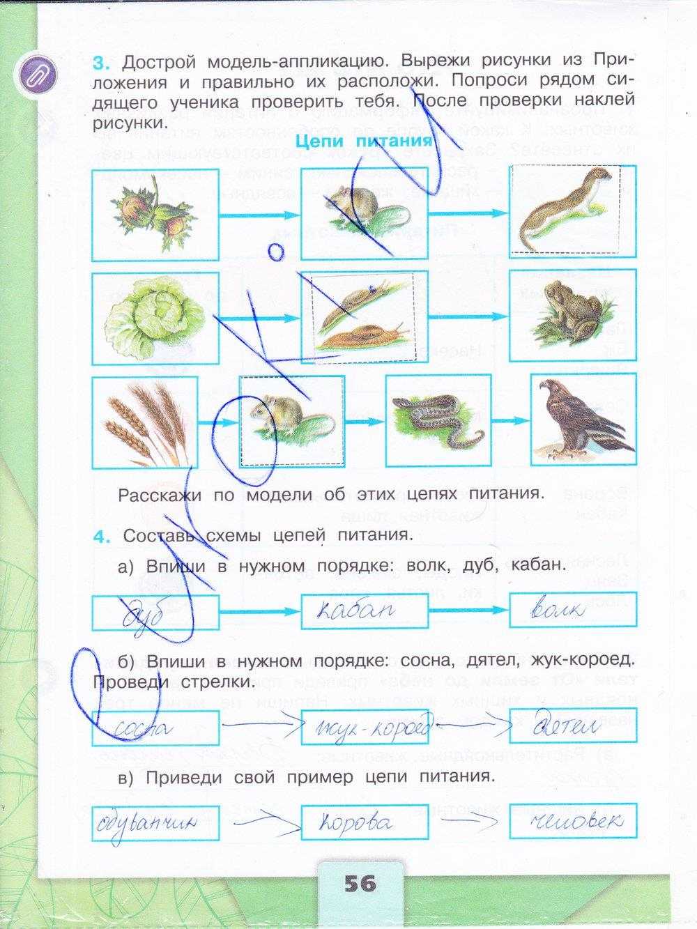 "великие путешественники", какие ответы на вопросы, 3 класс, климанова? - вопросник.про
