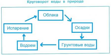 Гдз по окружающему миру 3 класс рабочая тетрадь  плешаков  школа россии