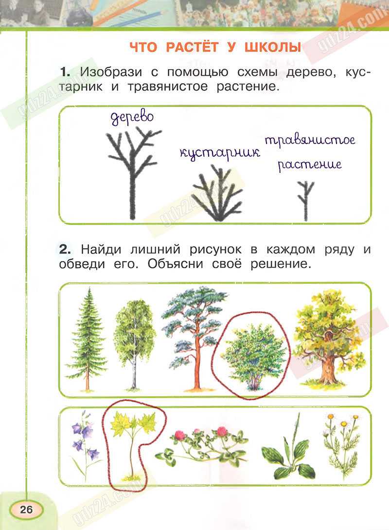 Гдз окружающий мир 3 класс 1 часть учебник плешаков