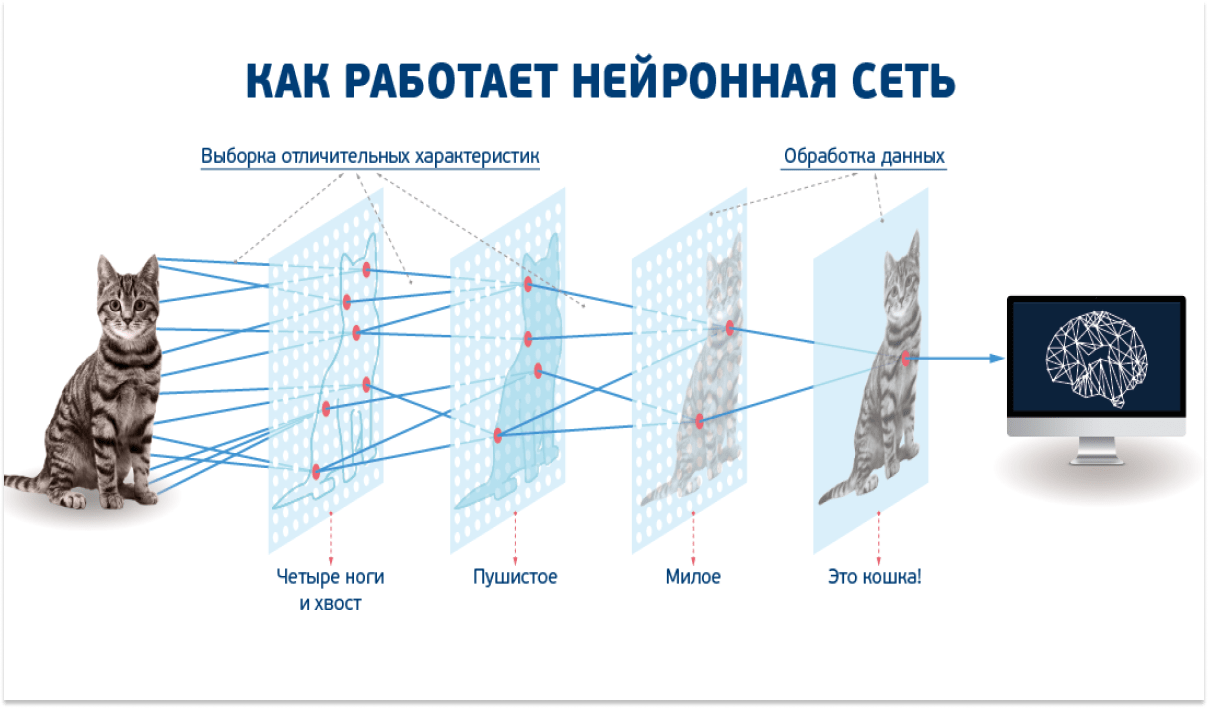 Ответы к учебнику русского языка за 3 класс "начальная школа 21 века", иванов  (2019) урок 11 - страница 12