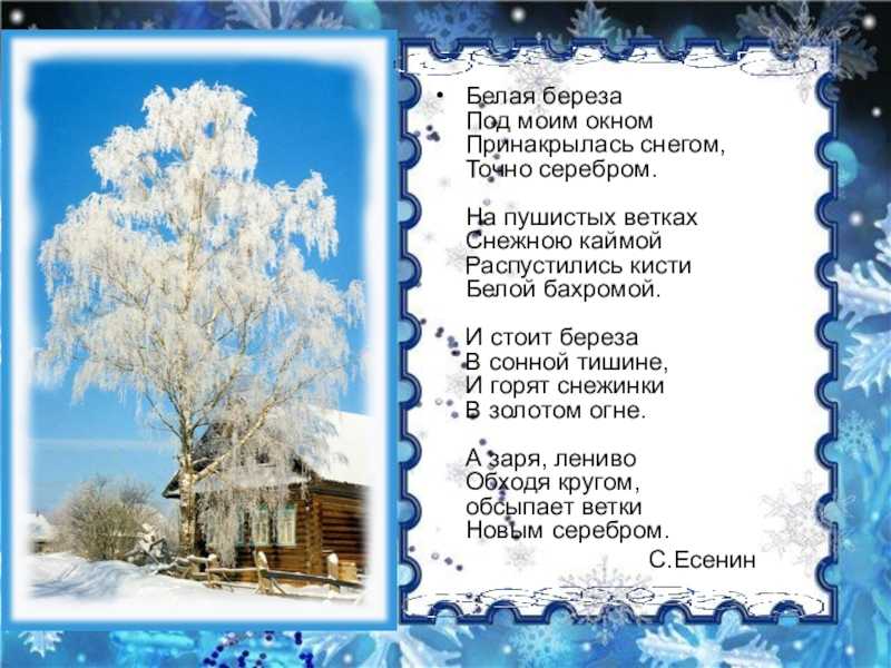 «печальная береза…» а. фет