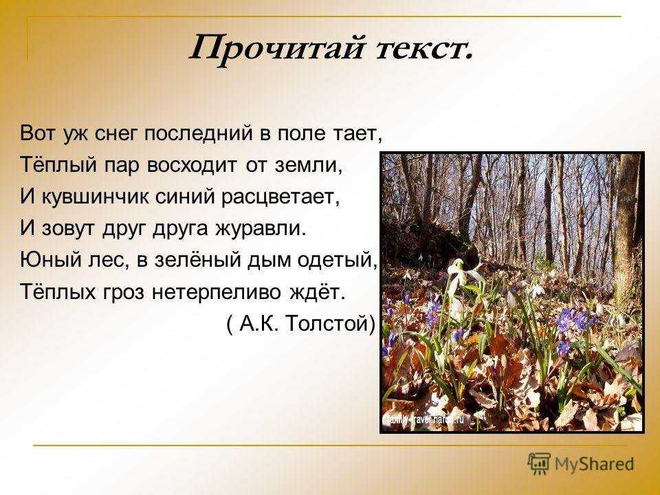 Понемногу: ответы на вопросы учебника к стихотворению и. никитина "полно степь моя" для 3 класса