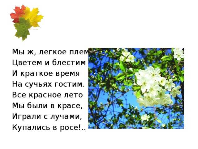 Ответы учебник литературное чтение климанова 3 класс часть 1, 2