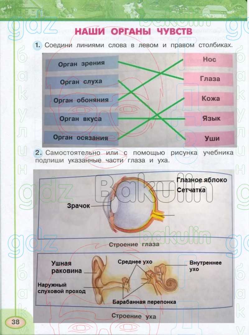 Решебник к учебному пособию: окружающий мир 3 класс плешаков - учебник