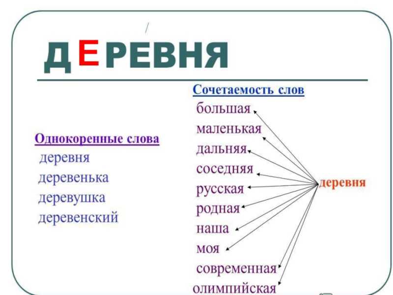 Замени данные словосочетания по образцу. яйца черепахи-черепашьи яйца. молоко козы-?, ружье