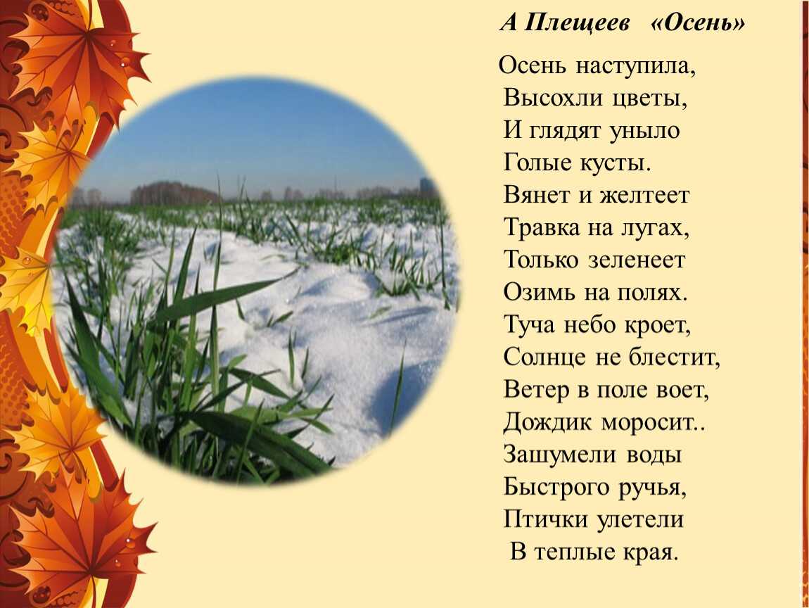 Гдз и решебник русский язык 3 класс климанова, бабушкина - учебник