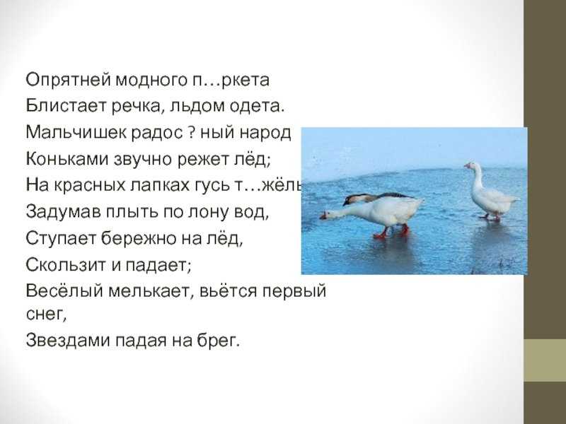 Гдз по литературному чтению. 3 класс. рабочая тетрадь. бойкина м.в., виноградская л.а.