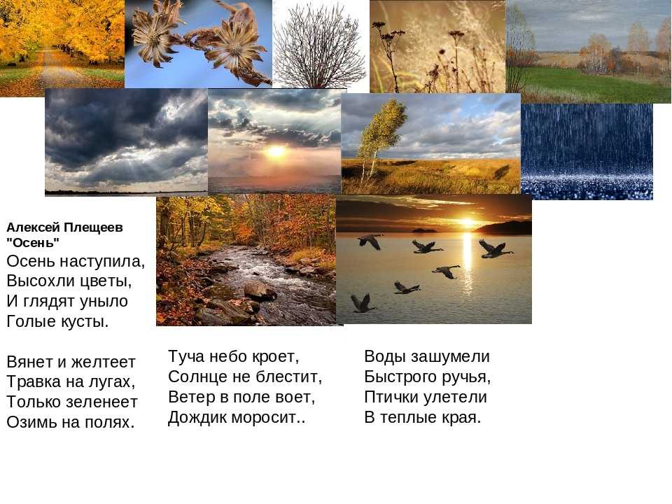 Не могу спокойно ждать пмпк.