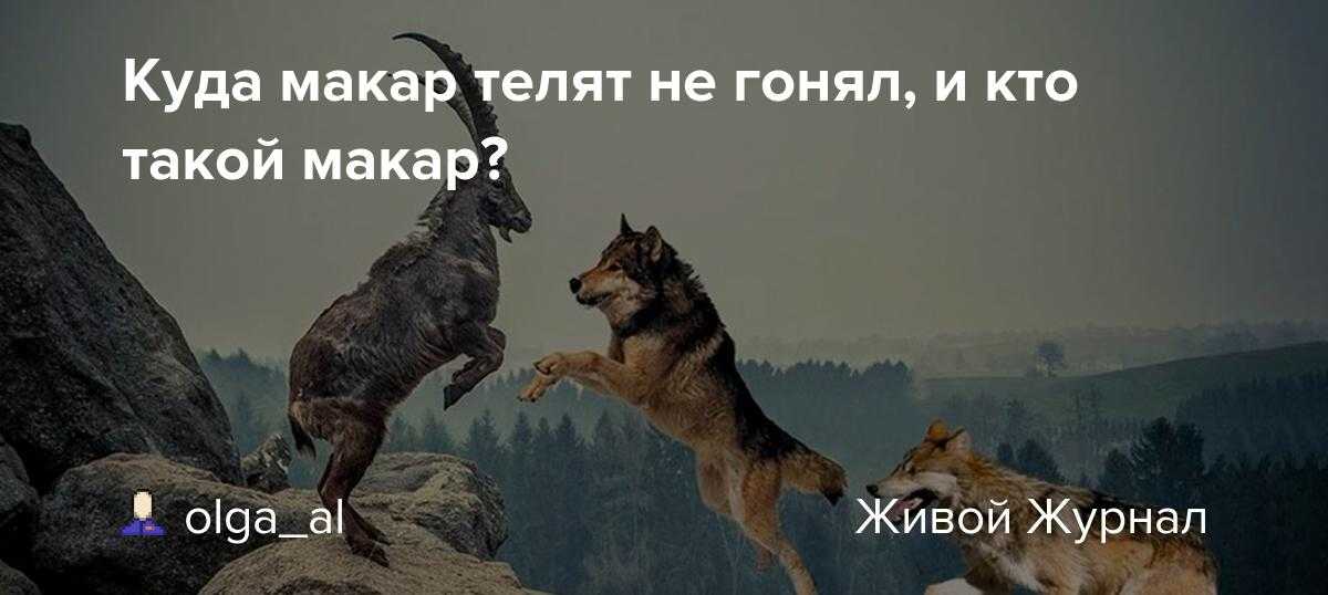 Великие путешественники (м. зощенко)