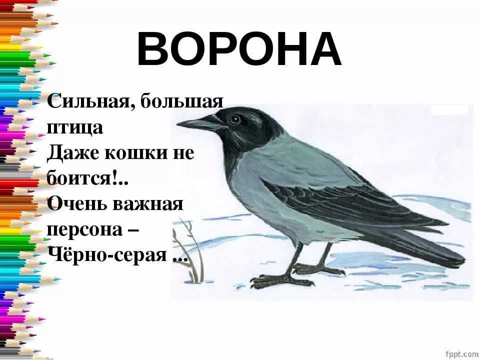 Как рассказать о герое 3 класс литературное чтение страница 58 ответы на вопросы к рассказу