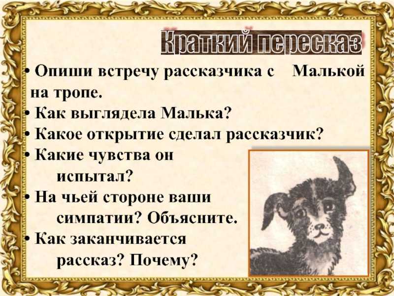 Белов василий рассказ «малька провинилась»