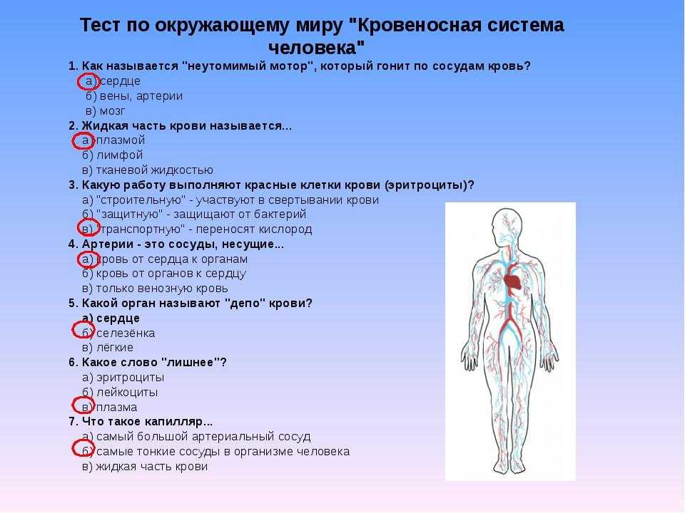 Гдз к рабочей тетради по окружающему миру 3 класс плешаков – 1, 2 часть