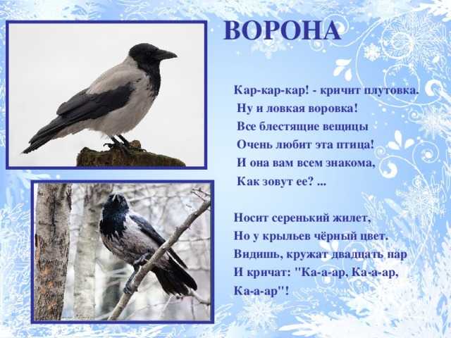 Русский язык 3 класс канакина горецкий 1 часть учебник картинная галерея