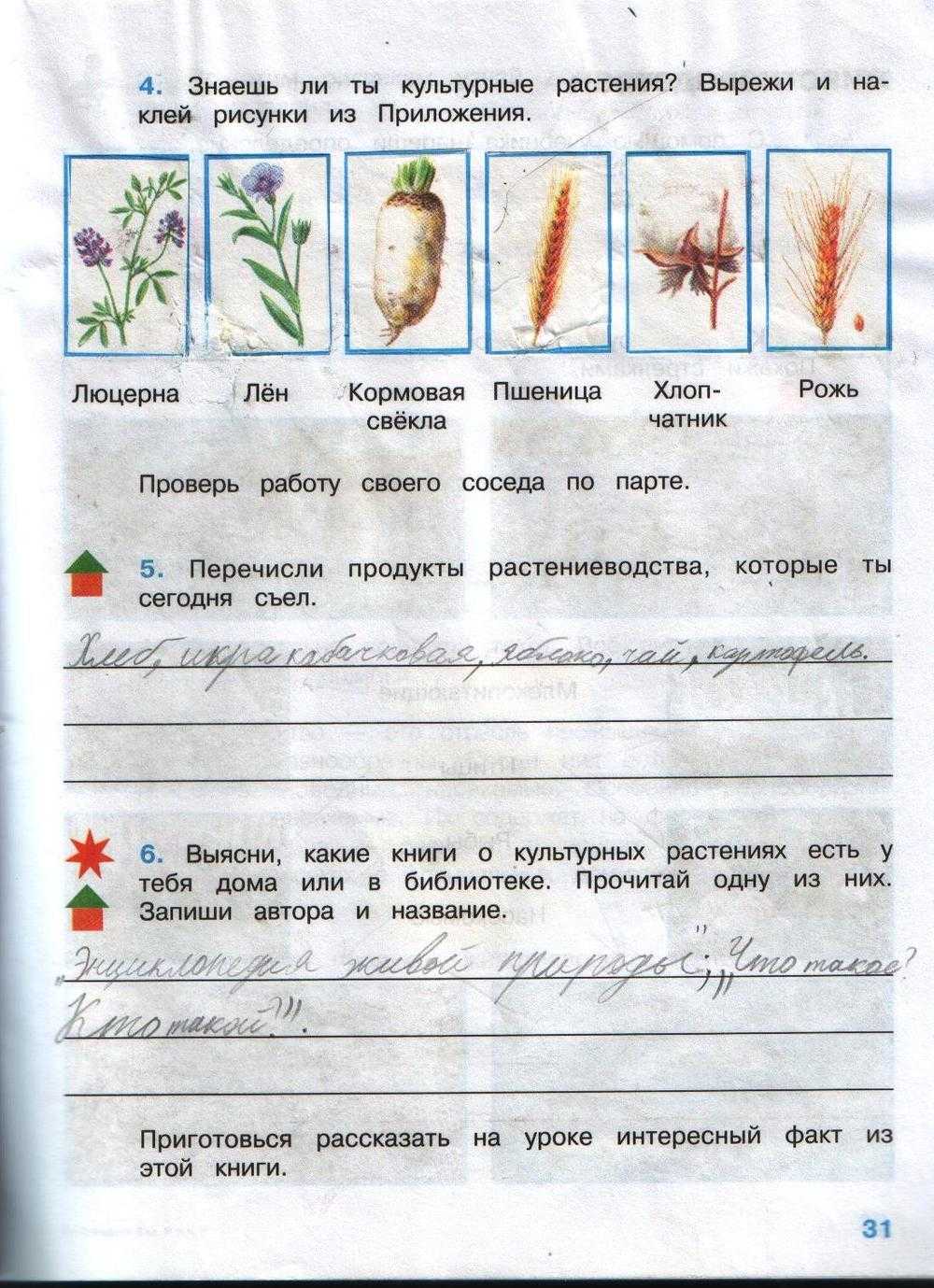 Страницы 31, 32, 33 - ответы окружающий мир 3 класс плешаков рабочая тетрадь 1 часть