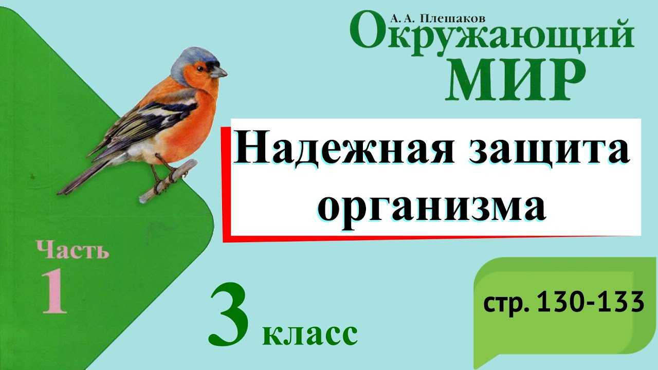 Стр 29 учебник окружающий мир 3 класс 1 часть плешаков ответы гдз | 1klass.org