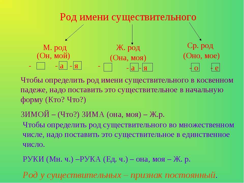 ГДЗ учебник по русскому языку 3 класс Канакина Род имен существительных Упражнение 41 Прочитайте В чём сходство и различие слов в каждой паре Оля Оленька море моряк дед дедушка лиса лисёнок лужок лужайка дождь дождинка поле полюшко метель метелица Запишит