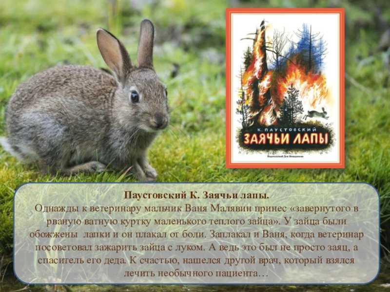 Гдз по русскому языку 3 класс антипова, верниковская, учебник 1, 2 часть национальный институт образования 2023