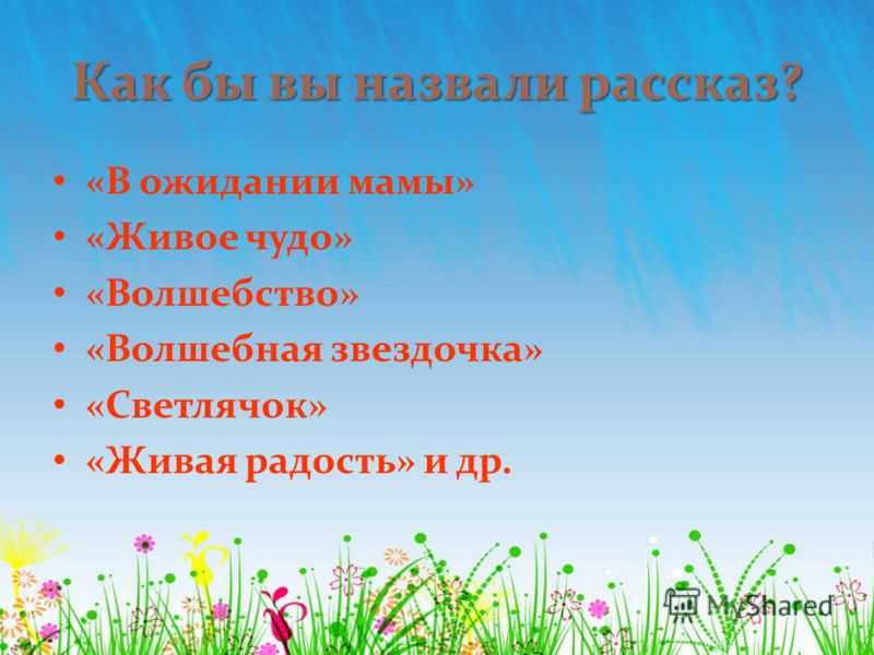 «он живой и светится» читательский дневник